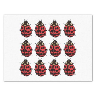 Ladybug Red Black Insect Ladybug
