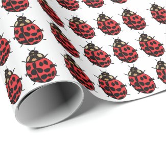 Ladybug Red Black Insect Ladybug