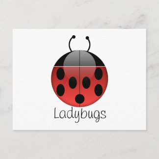 Ladybug Series 2 Postcard