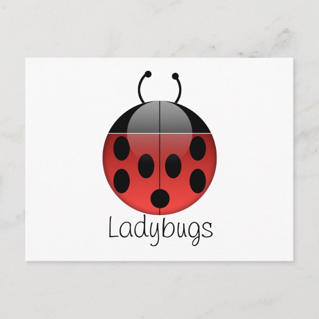 Ladybug Series 2 Postcard (Front)