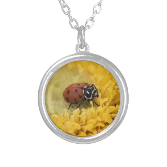 Ladybug Silver Plated Necklace (Front)