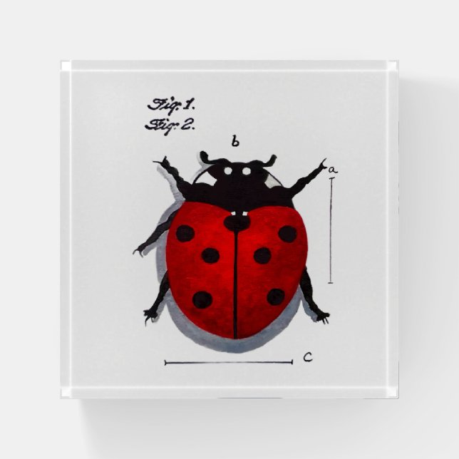 Ladybug Square Paperweight (Front)