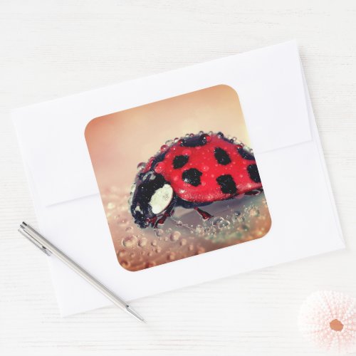 Ladybug Square Sticker