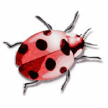 Ladybug Statuette<br><div class="desc">Ladybug is a Pop Art design</div>