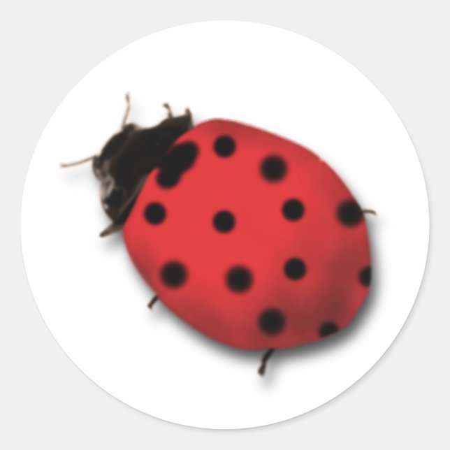 Ladybug Stickers (Front)
