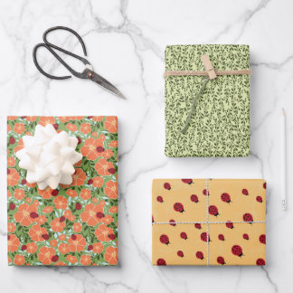 Ladybug Summer Floral Wrapping Paper Multi Set