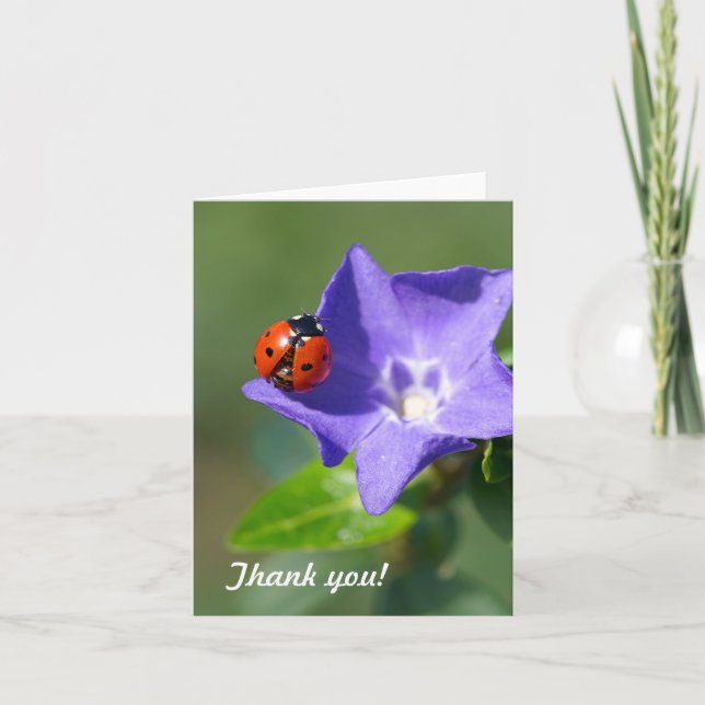 Ladybug Thank you Note Card (Front)
