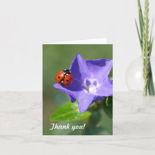 Ladybug Thank you Note Card