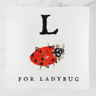 Ladybug  trinket tray