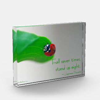 Ladybug w/Japanese Proverb Acrylic Block