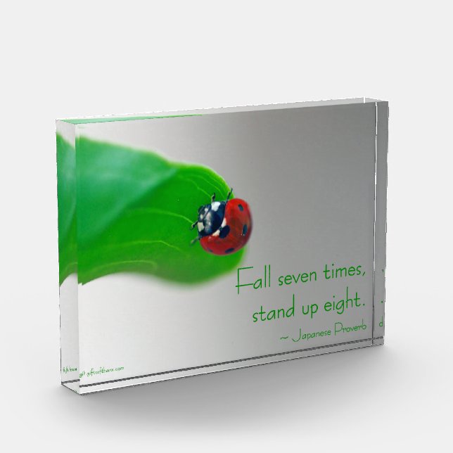 Ladybug w/Japanese Proverb Acrylic Block (Left)