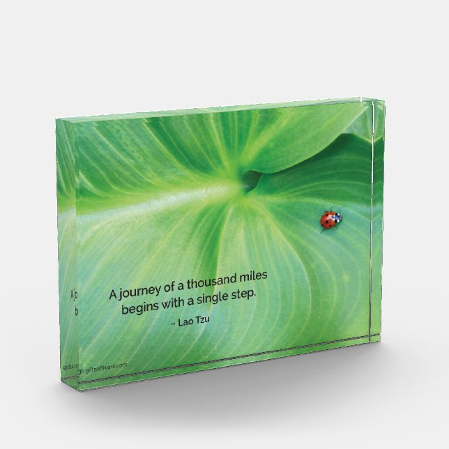 Ladybug w/Lao Tzu Acrylic Block (Left)