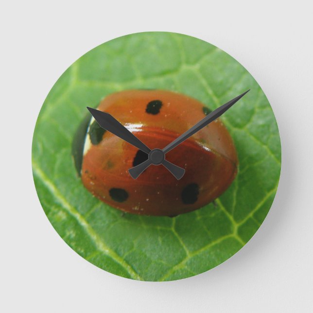 Ladybug Wall Clock (Front)
