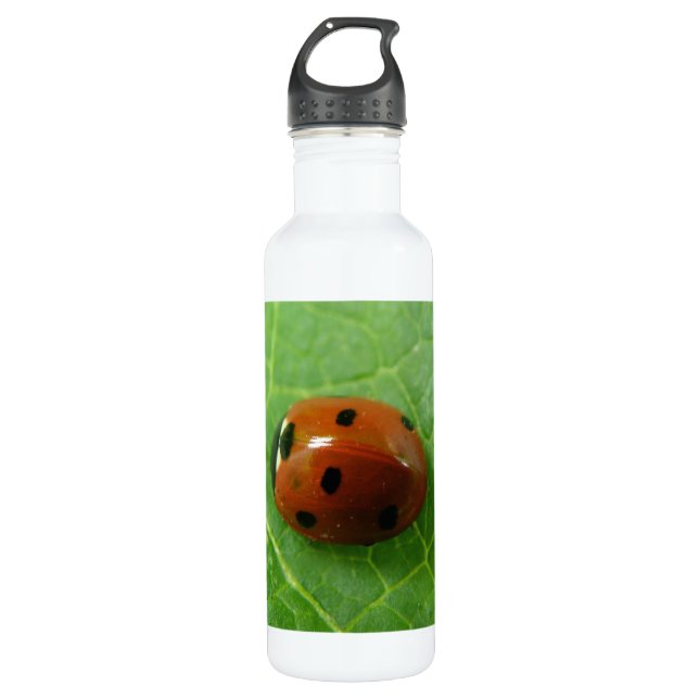 Ladybug Water Bottle (Front)