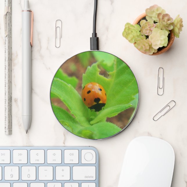Ladybug with a Heart by Nature Charger (Desk)
