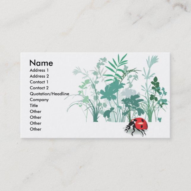 Ladybug with Greenery Business Cards (Front)