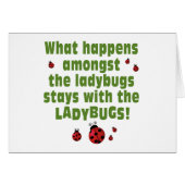Ladybugs (Front Horizontal)