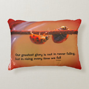 Ladybugs Attitude Inspirational Confucius Quote  Accent Pillow