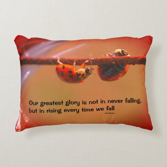 Ladybugs Attitude Inspirational Confucius Quote  Accent Pillow (Front)