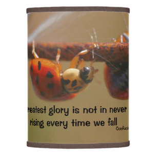 Ladybugs Attitude Inspirational Confucius Quote Lamp Shade