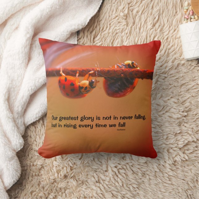 Ladybugs Attitude Inspirational Confucius Quote   Throw Pillow (Blanket)