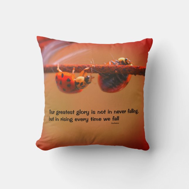 Ladybugs Attitude Inspirational Confucius Quote   Throw Pillow (Front)