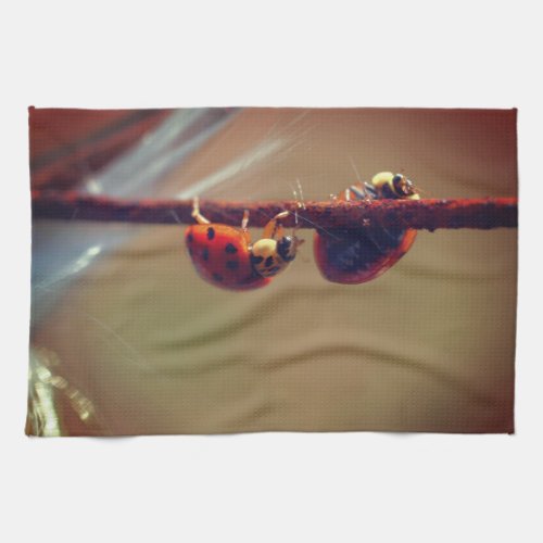 Ladybugs Balancing Close Up  Kitchen Towel