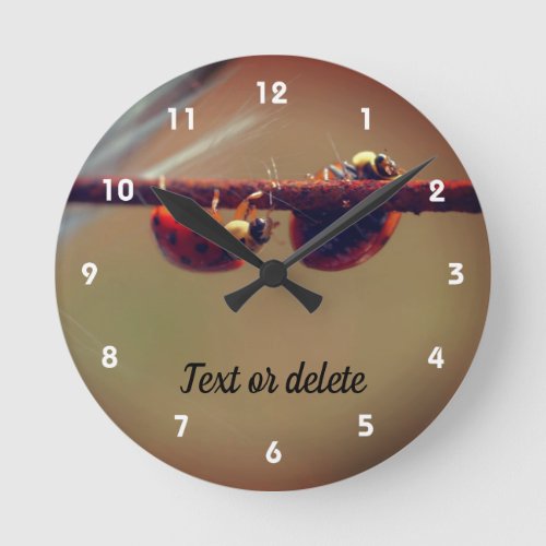 Ladybugs Balancing Close Up Personalized Round Clock