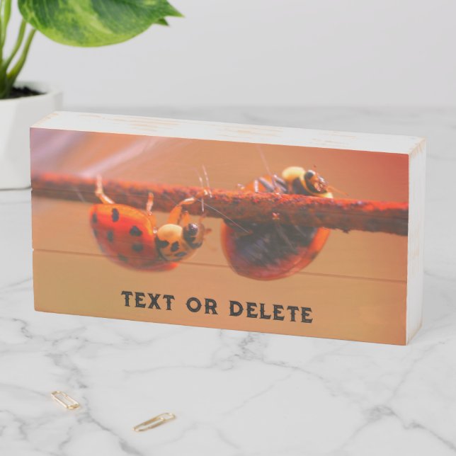 Ladybugs Balancing Close Up Personalized Wooden Box Sign (In Situ Horizontal)