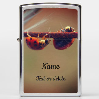 Ladybugs Balancing Close Up Personalized Zippo Lighter