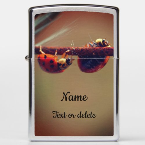 Ladybugs Balancing Close Up Personalized Zippo Lighter