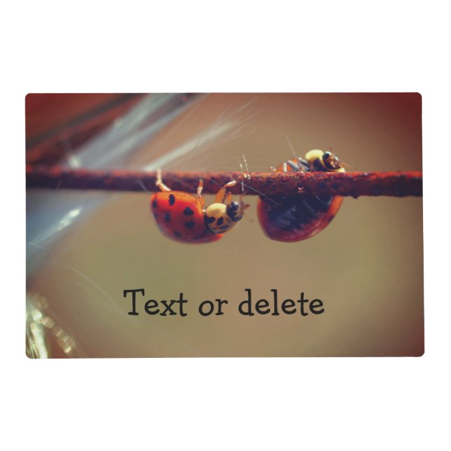 Ladybugs Balancing Personalized Placemat (Front)