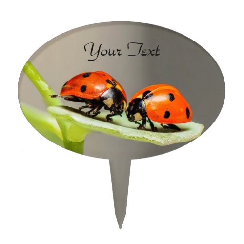 Ladybugs Beetles Cake Topper