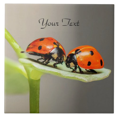 Ladybugs Beetles Ceramic Tile