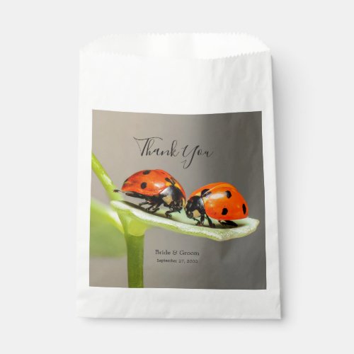 Ladybugs Beetles Favor Bag