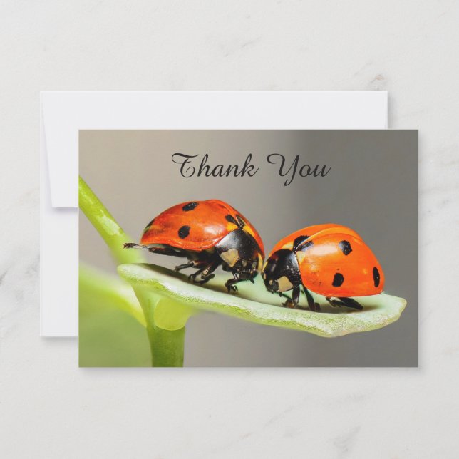 Ladybugs Beetles Flat Thank You Card (Front)