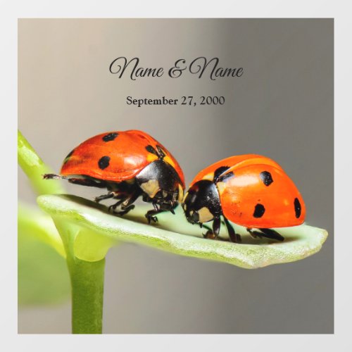 Ladybugs Beetles Floor Decal