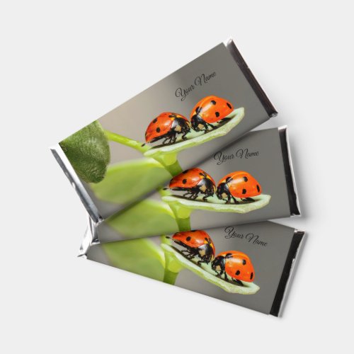 Ladybugs Beetles Hershey Bar Favors