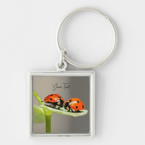 Ladybugs Beetles Keychain