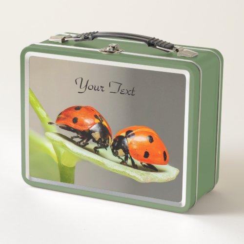 Ladybugs Beetles Metal Lunch Box