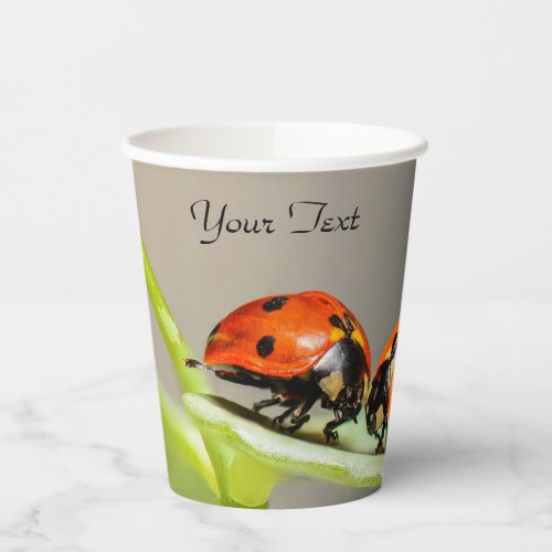 Ladybugs Beetles Paper Cups