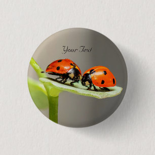 Ladybugs Beetles Pinback Button