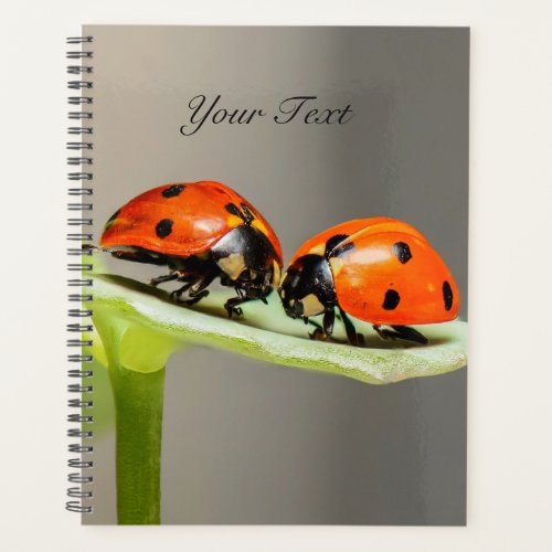 Ladybugs Beetles Planner