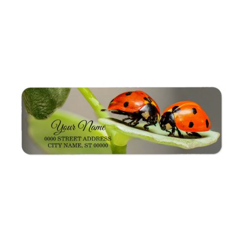 Ladybugs Beetles Return Address Label