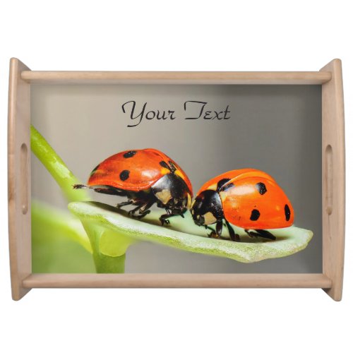 Ladybugs Beetles Serving Tray