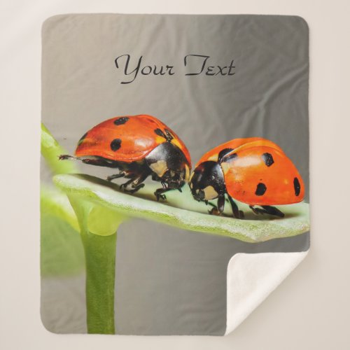 Ladybugs Beetles Sherpa Blanket