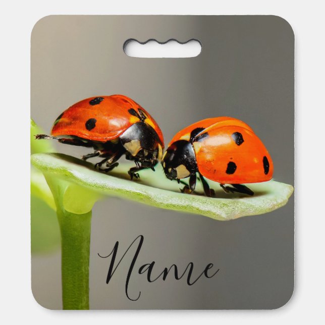 Ladybugs Beetles Stadium Cushion (Front Vertical)