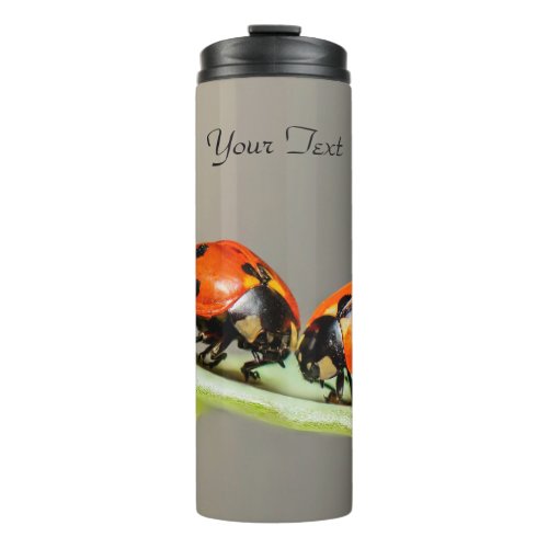 Ladybugs Beetles Thermal Tumbler