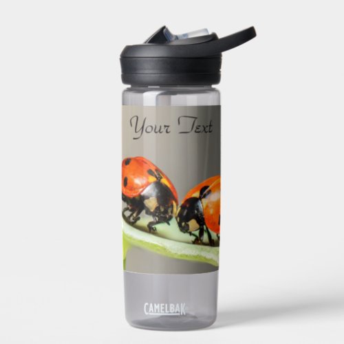 Ladybugs Beetles Water Bottle