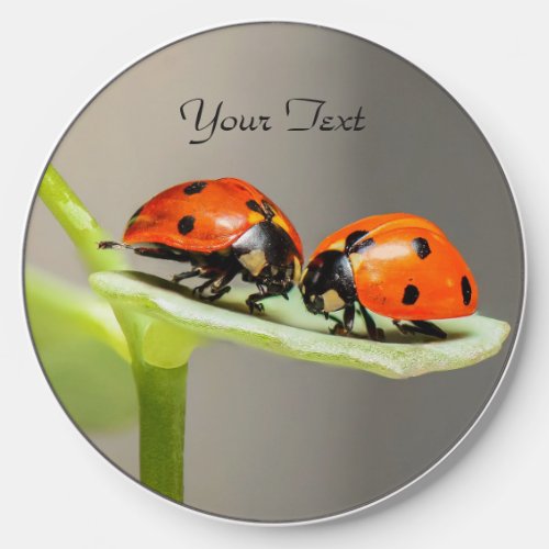 Ladybugs Beetles Wireless Charger